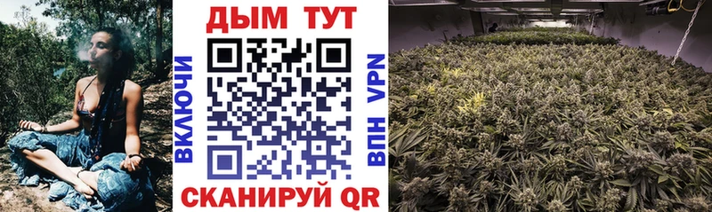 Конопля White Widow  hydra ТОР  Нововоронеж 